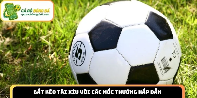 Bắt kèo Tài Xỉu với các mốc thưởng hấp dẫn