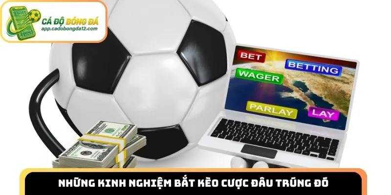 Những kinh nghiệm bắt kèo cược đâu trúng đó