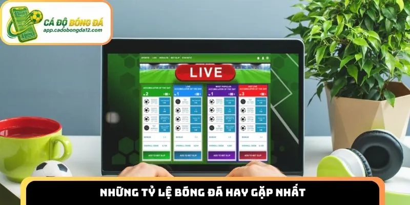 Những tỷ lệ bóng đá hay gặp nhất