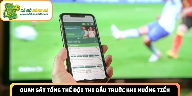 Quan sát tổng thể đội thi đấu trước khi xuống tiền