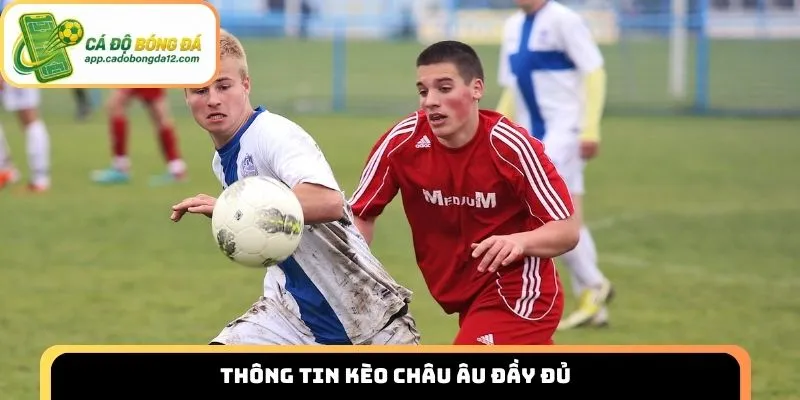 Thông tin kèo châu Âu đầy đủ cho những tân binh