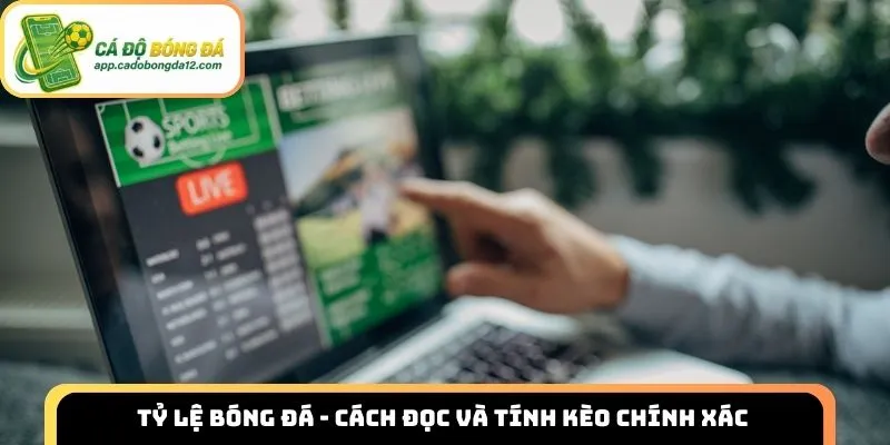 tỷ lệ bóng đá