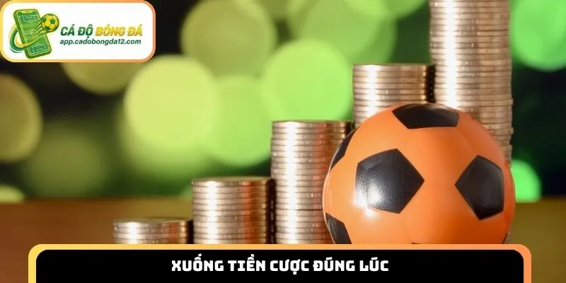 Xuống tiền cược đúng lúc